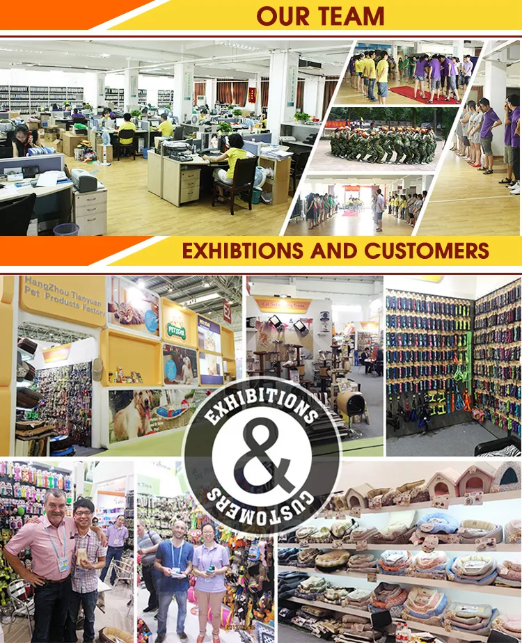 Cat Toilet Color Options