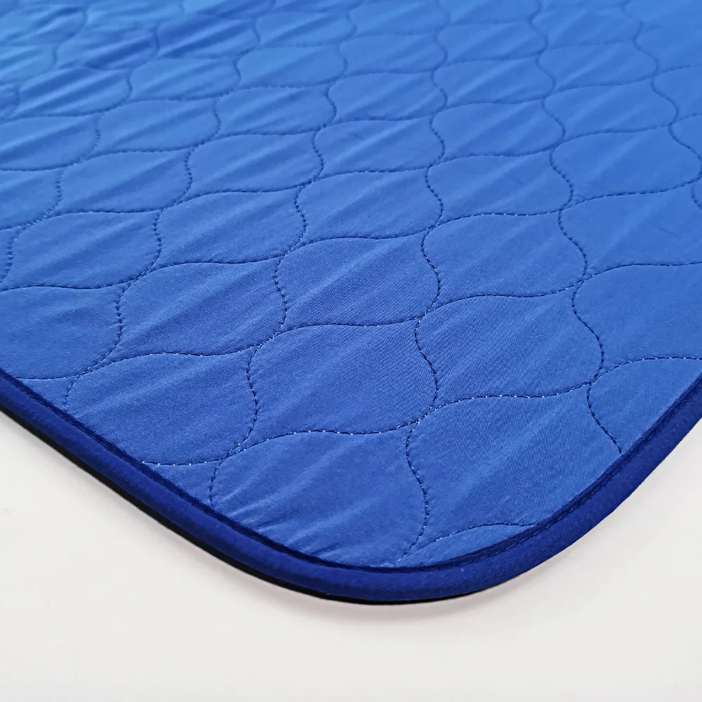 Wholesale Patterns Appear When Exposed to Water Pet Training Pad