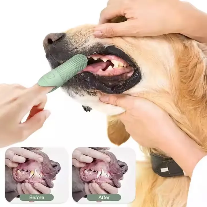 Pet Grooming Tool