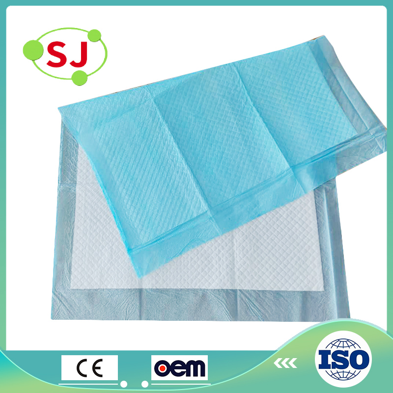 Pet PEE Pad Manufacturer Direct Pet Training Puppy Disposable Pad for Dogs