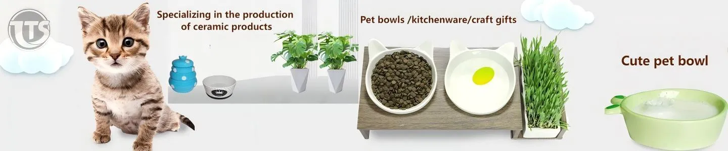 Unique Ceramic Cat Paw Feeders