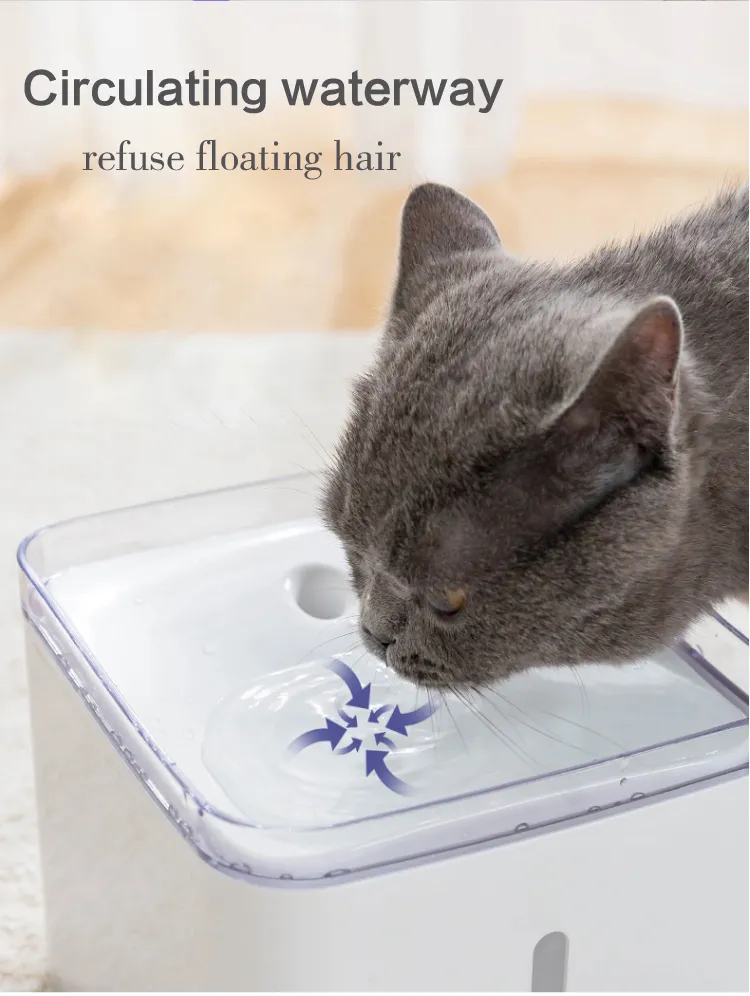 Water Fountain Detail 1