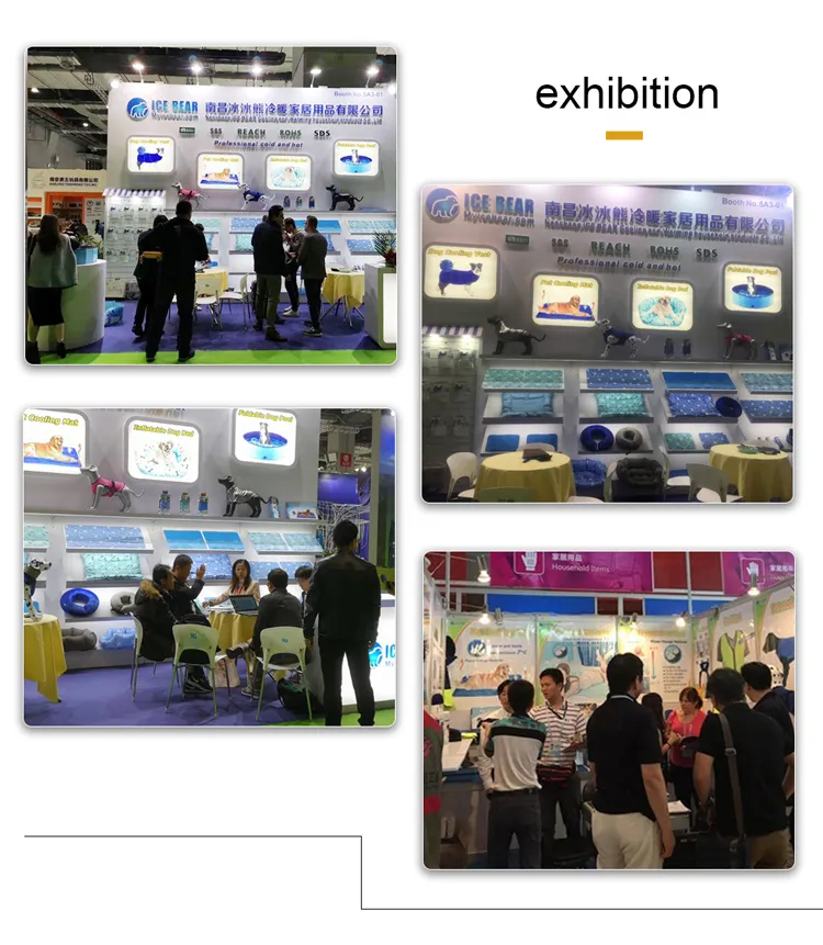 Product Specification 1