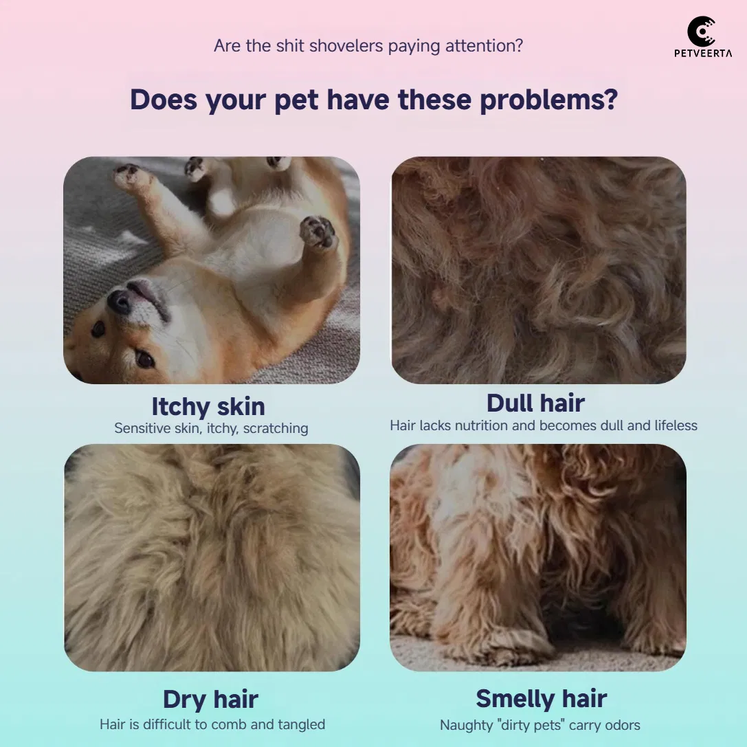 Customized Aromatic Anti-Mite Pet Shampoo for Dogs and Cats with SGS/ISO Certificates