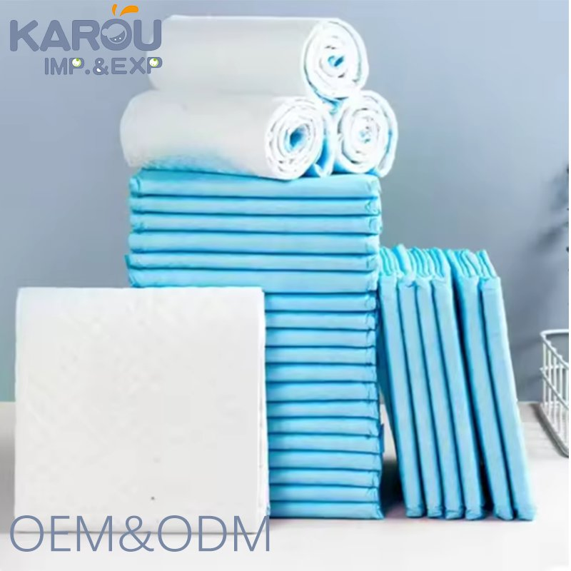 OEM China Manufacturer Custom Logo Private Label Pet Training Pad