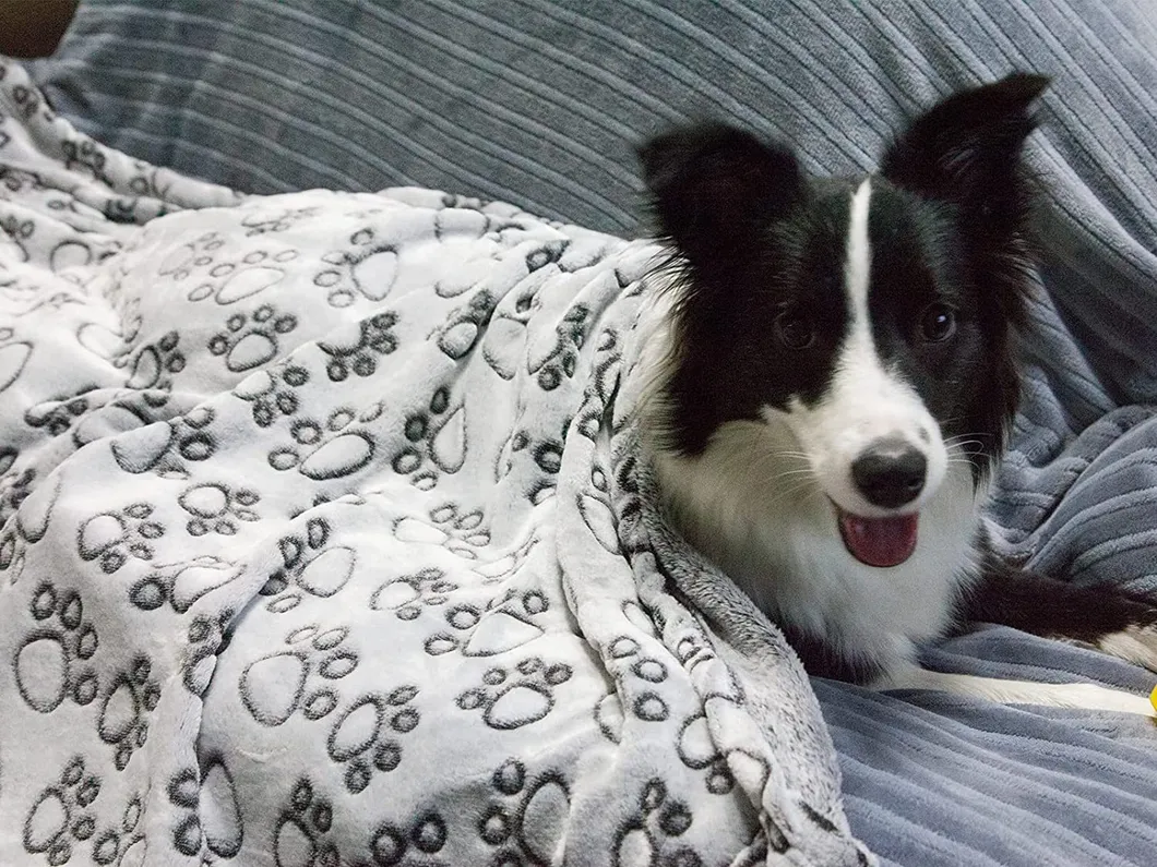 Warm Luxury Pet Blanket