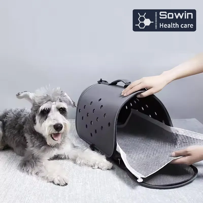 Pet Pad Hygiene