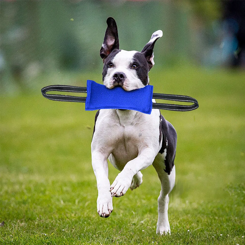 Tear-Resistant Chew Stick Pet Dog Teething Interactive Toy - Customizable in Multiple Colors