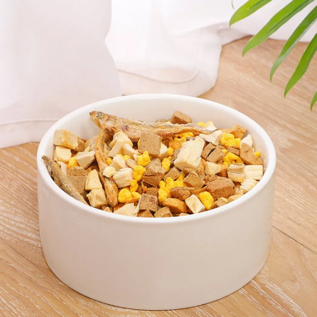 DOE Pet Wholesale Customized Solid Pattern Elevated Pet Dish Bowl Stylish Ceramic Cat Bowl Eco-Friendly Design