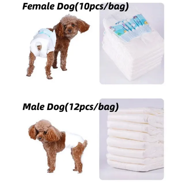 Hygienic Pet Mat Detail