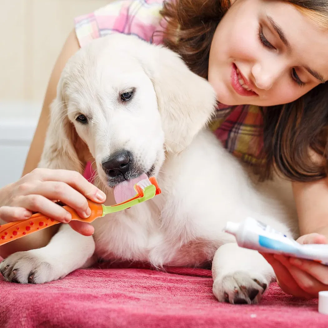 Three Sided Pet Toothbrush Detail 7