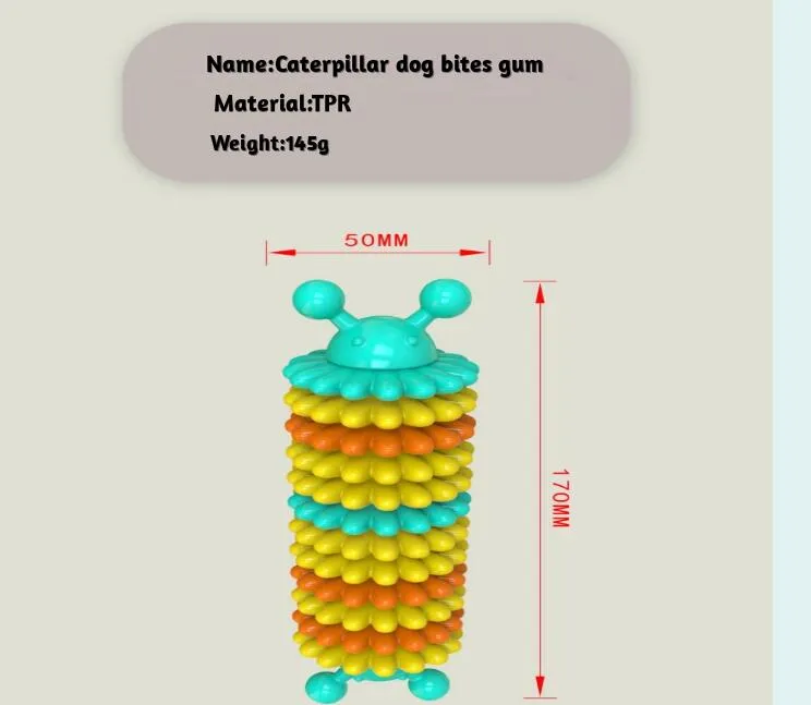 Molar Teeth Cleaning