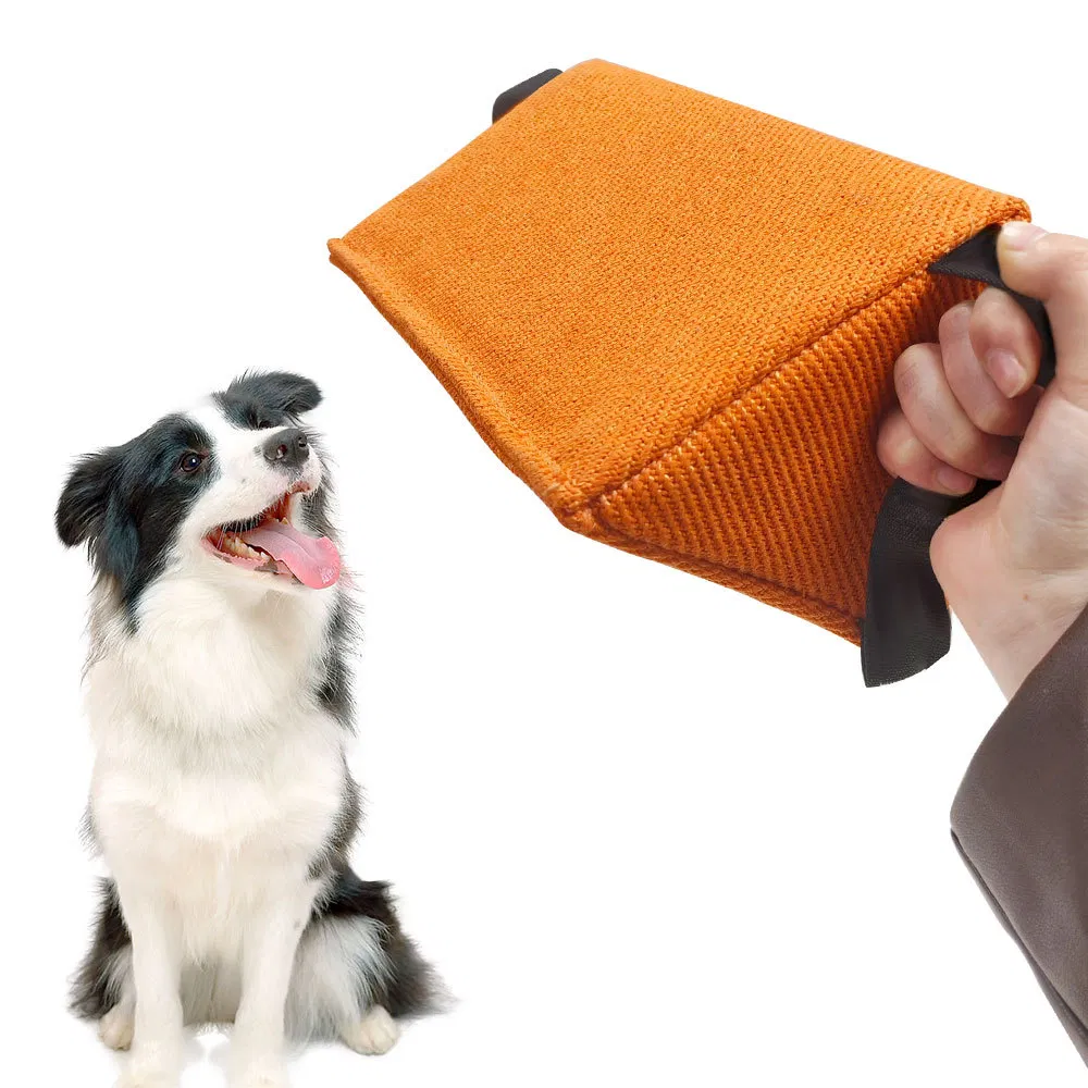 Dog Training Toy 6