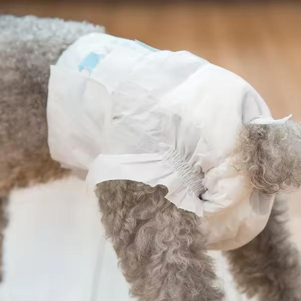 Disposable Diaper Pet Diapers for Dogs