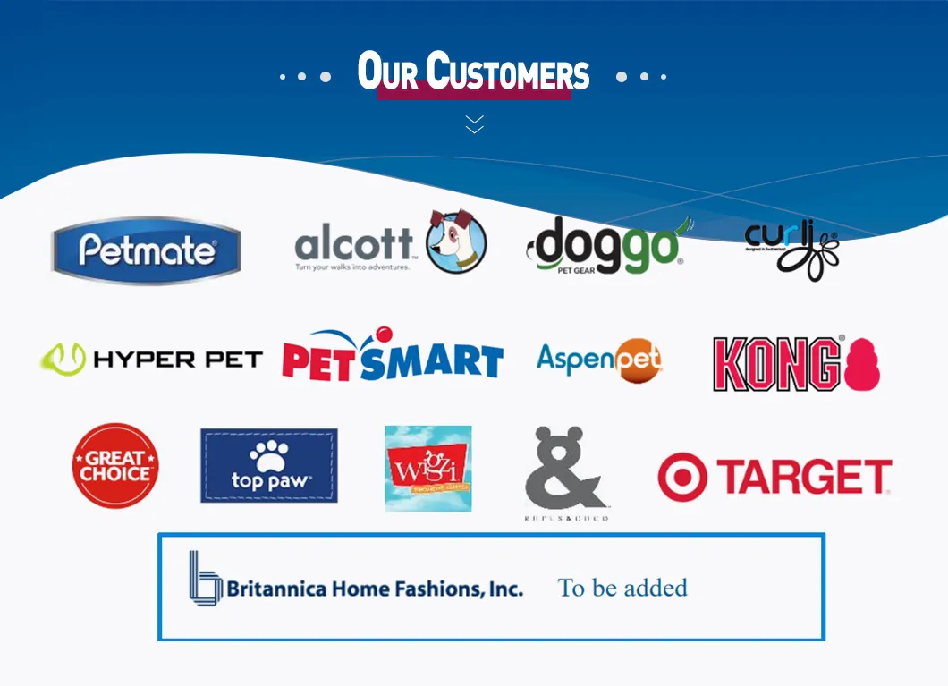 Pet Cleaning Solutions