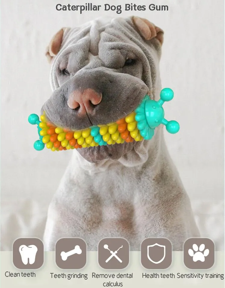 Dog Toothbrush Chew Toy