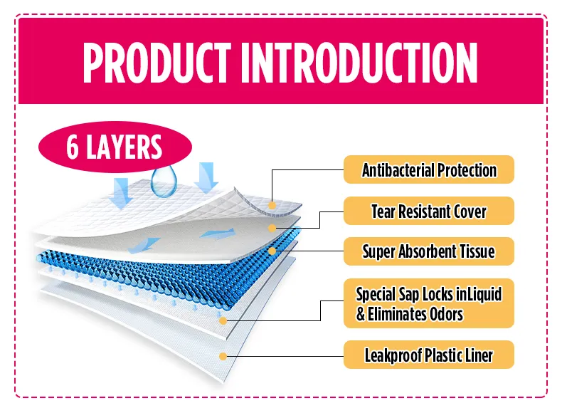 Pet Training Details