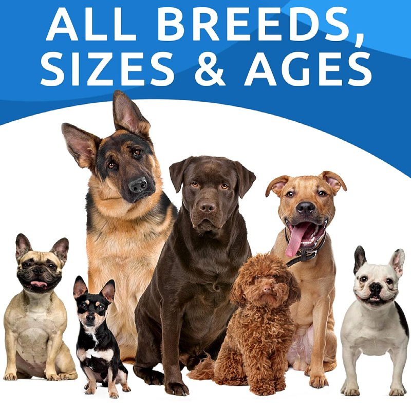 Ear Cleaner for Dogs &amp; Cats Vet-Recommended Dog Ear Infection Treatment