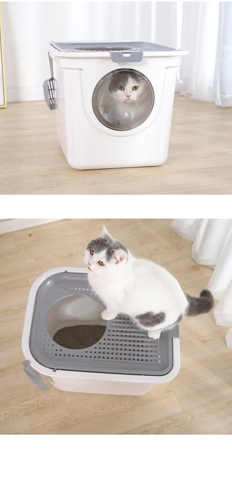 Cat Litter Box Dimensions