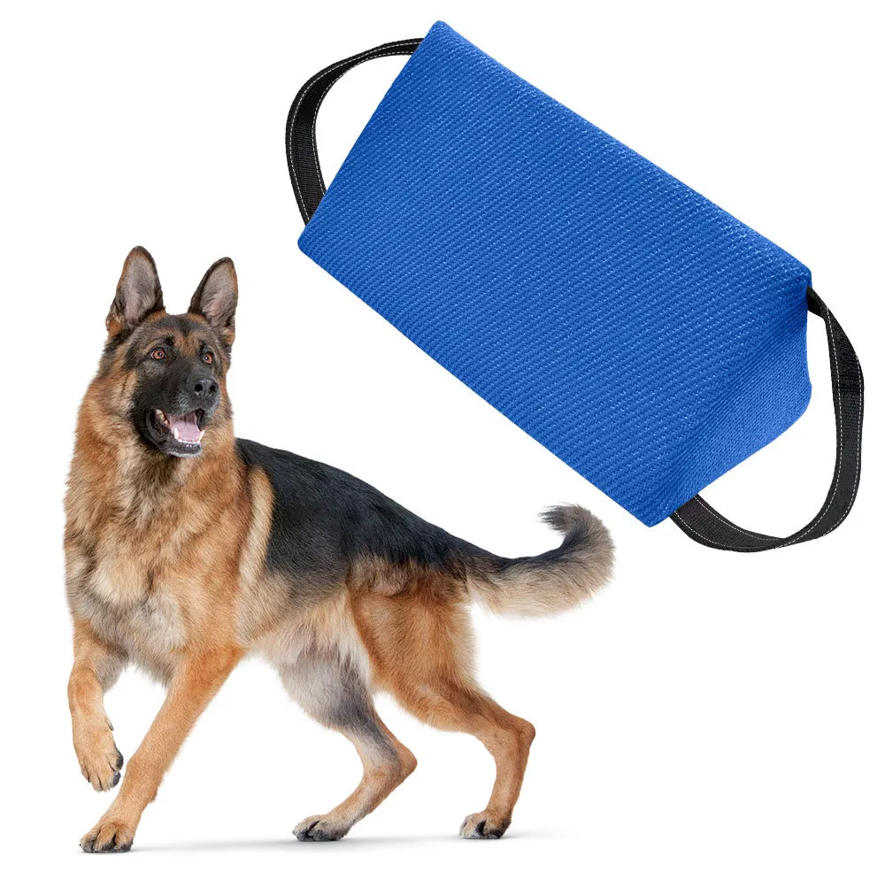 Dog Training Durable Chew Target Toy Interactive Teething Pet Equipment