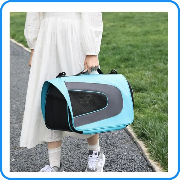 Pet Carrier 3
