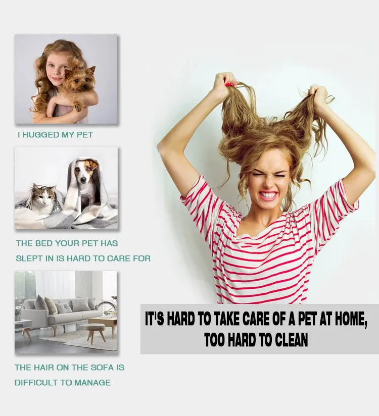 Pet Hair Remover View 3
