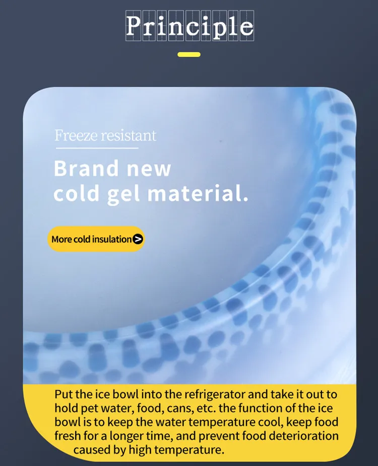 Dog Cooling Bowl Detail 2