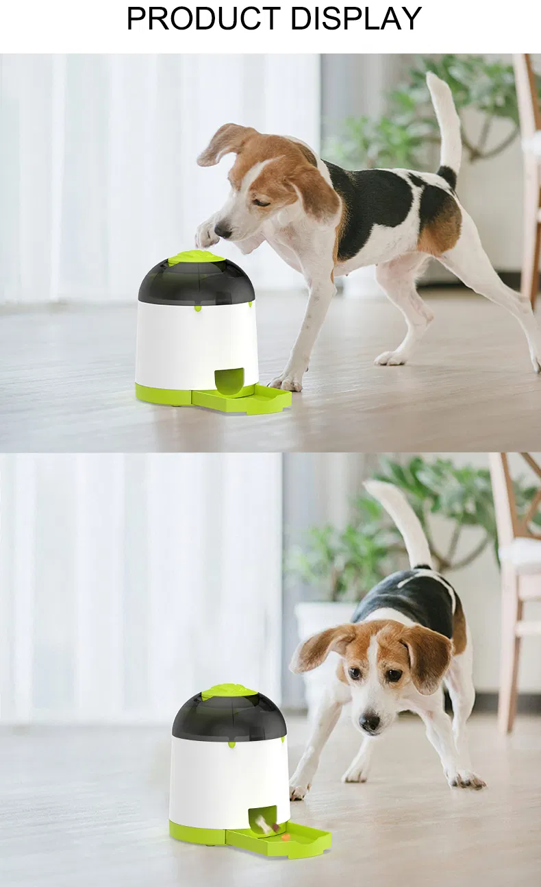 Smart Dog Puzzle Feeder 8