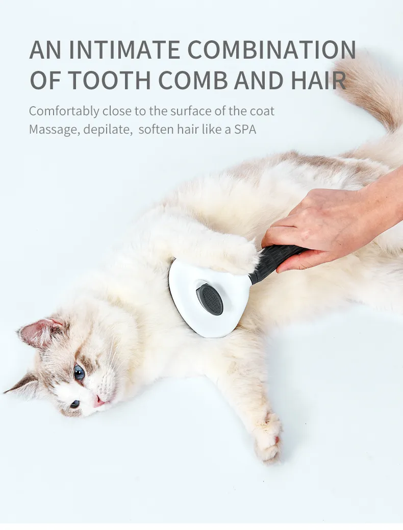 Pet Hair Grooming
