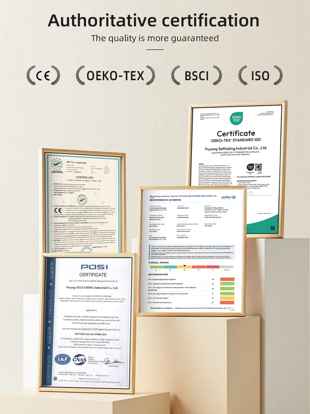 Reusable Washable Male Pet Dog Diaper