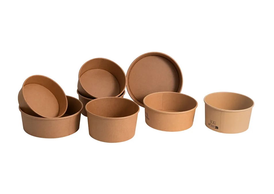 Paper Bowl Variation 1