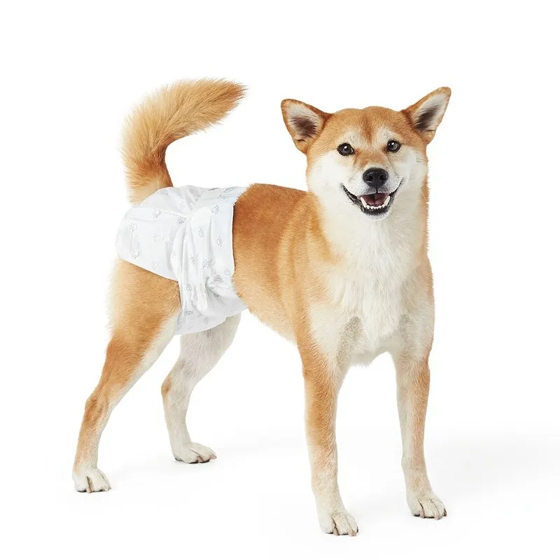 Pet Diaper Style 1