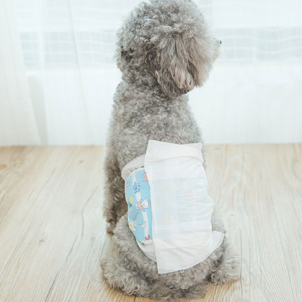 Veterinary Pet Diaper Producer Disposable &amp; Reusable Options