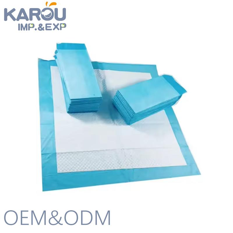 OEM China Manufacturer Custom Logo Private Label Pet Training Pad