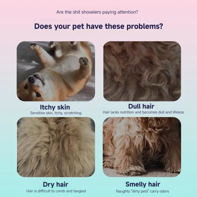 Pet Shampoo Usage