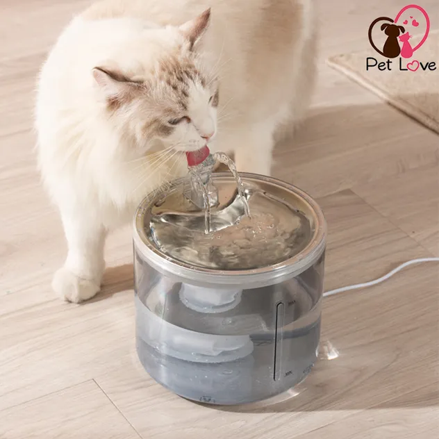 Pet Fountain Feature 1