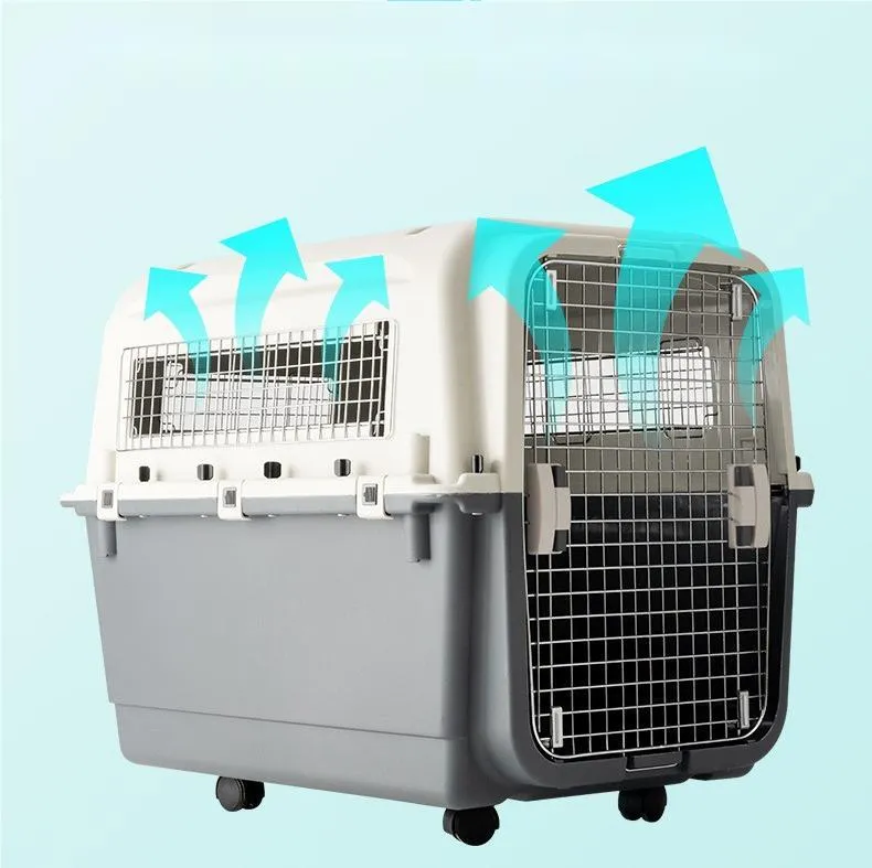 Pet Carrier 4
