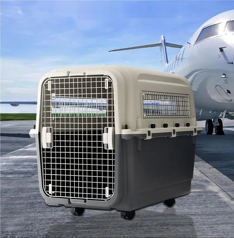Pet Carrier 5