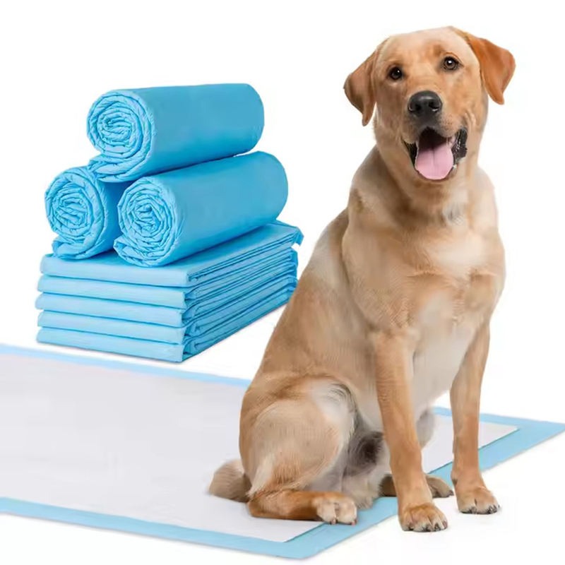 Pet Training Pads Wholesale Customized Supplier Disposable Puppy Urine Pet Pad