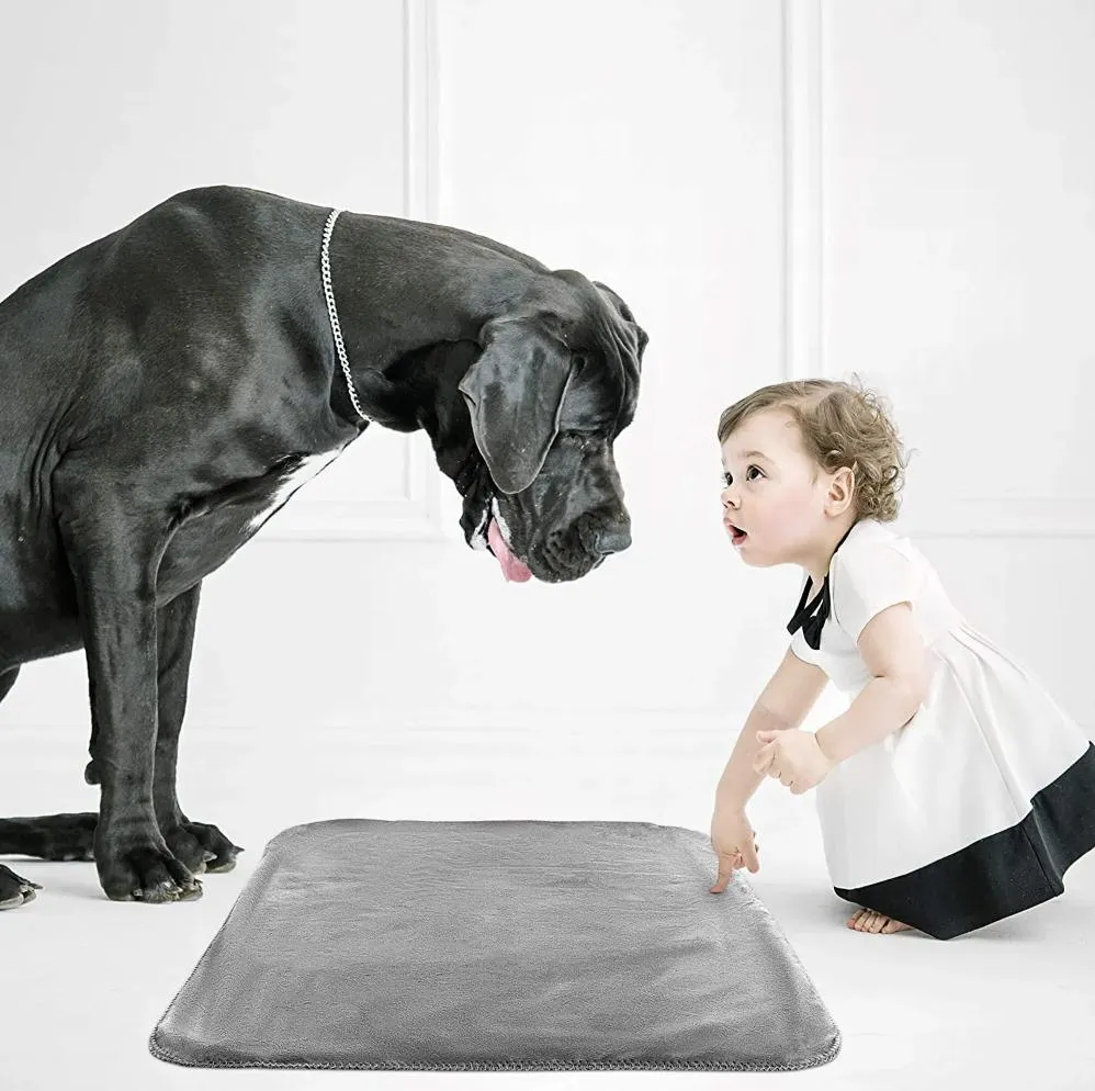 Pet Blanket Detail 5