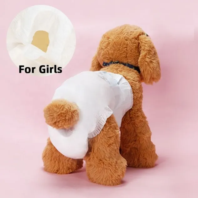 Pet Supply Male Dog Diaper