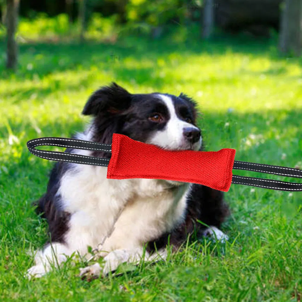 Tear-Resistant Chew Stick Pet Dog Teething Interactive Toy - Customizable in Multiple Colors