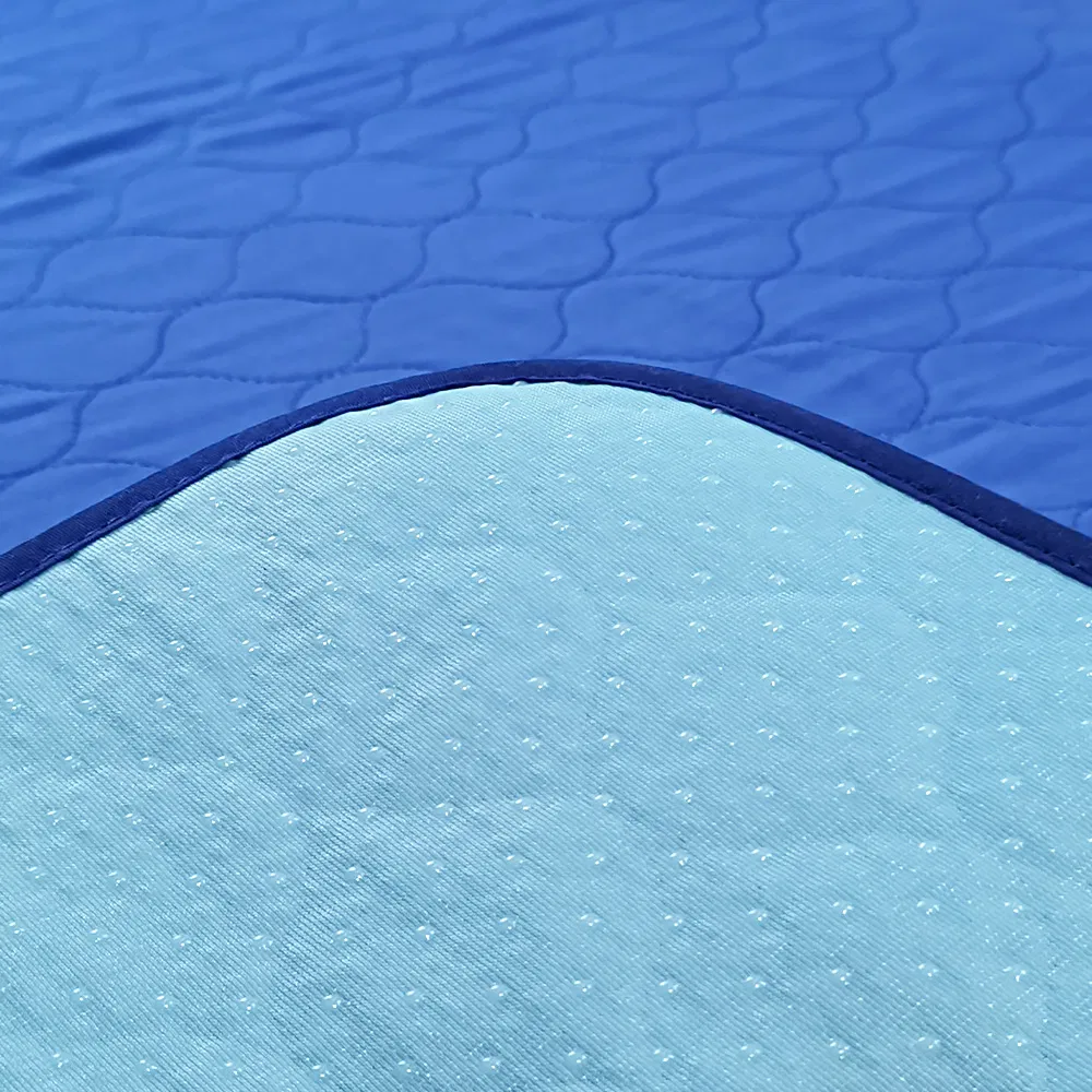 Wholesale Patterns Appear When Exposed to Water Pet Training Pad