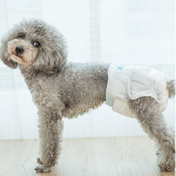 Veterinary Pet Diaper Producer Disposable &amp; Reusable Options