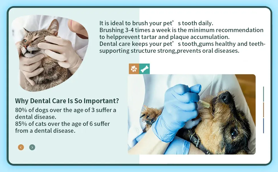 Pet Finger Toothbrush 3