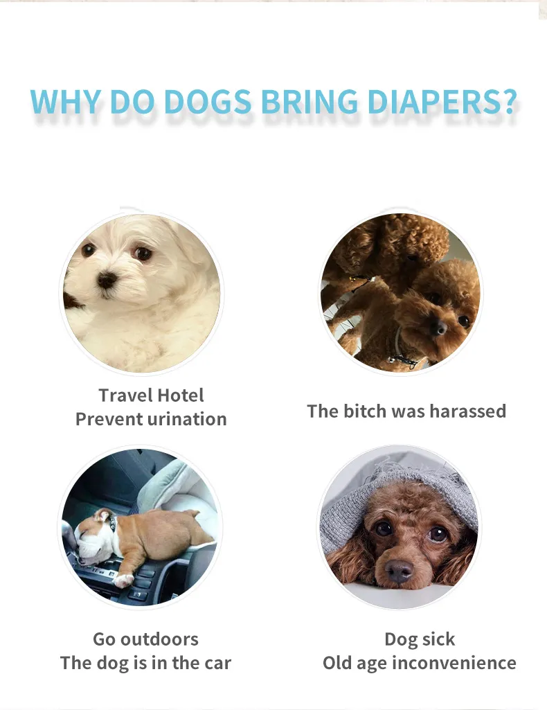 Disposable Diaper Pet Diapers for Dogs