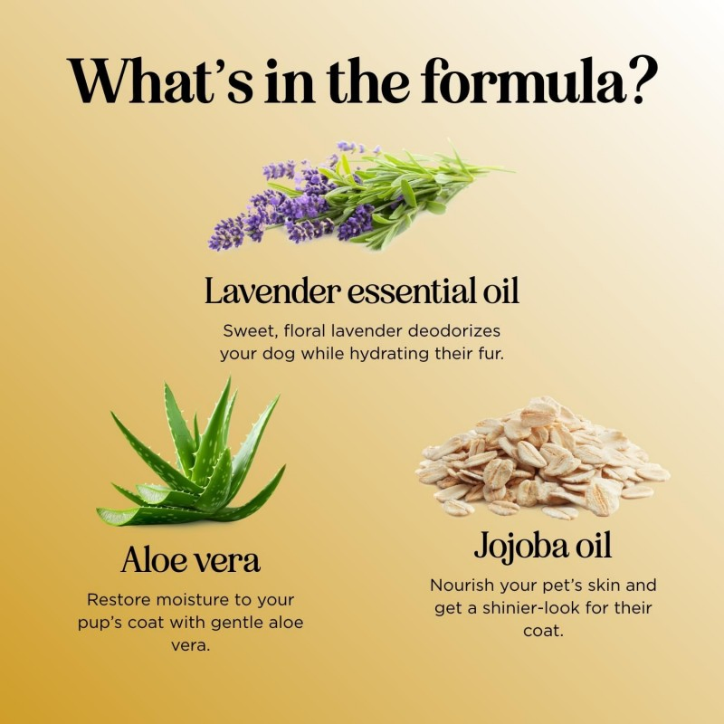 Professional Pet Shampoo OEM Manufacturer for Dogs