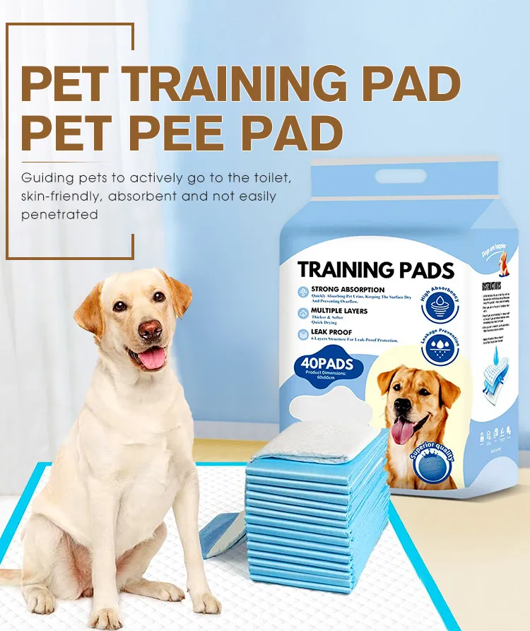 Pet Training Pads Display 1