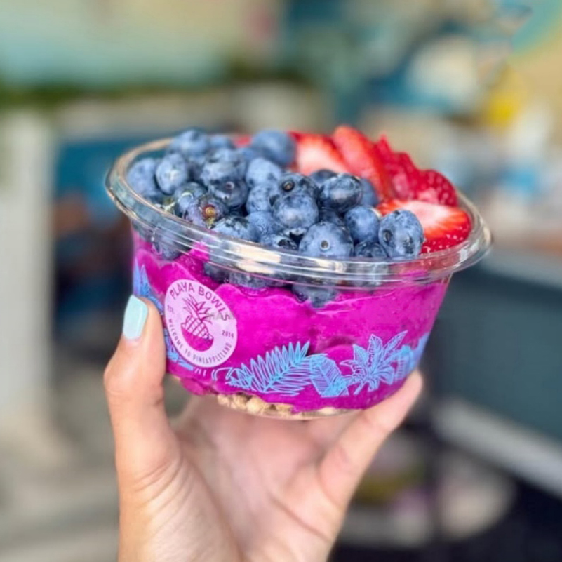 Disposable Pet Clear Plastic Cups Fruit Berry Plastic Acai Bowls Dome Lid