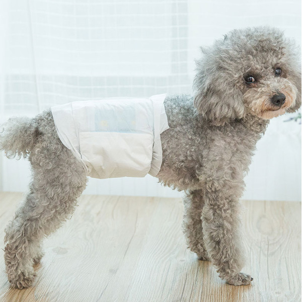 Veterinary Pet Diaper Producer Disposable &amp; Reusable Options